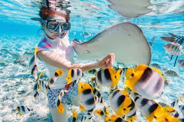 Lagoon private snorkeling tour in Bora Bora